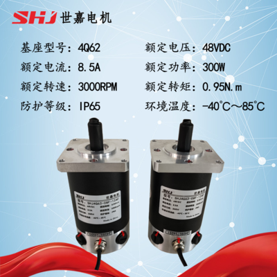 48VDC 300W 世嘉GJB直流有刷伺服电机