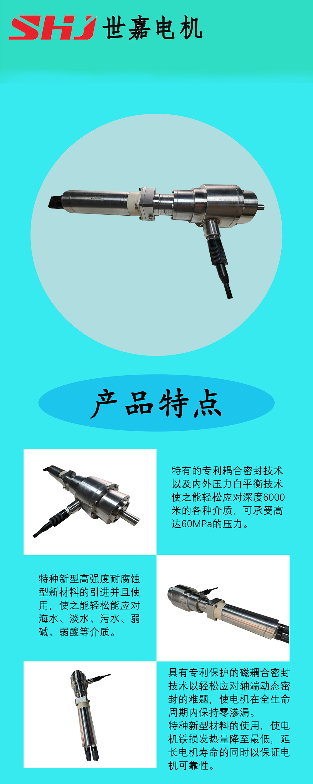 深水电机产品信息模板.jpg