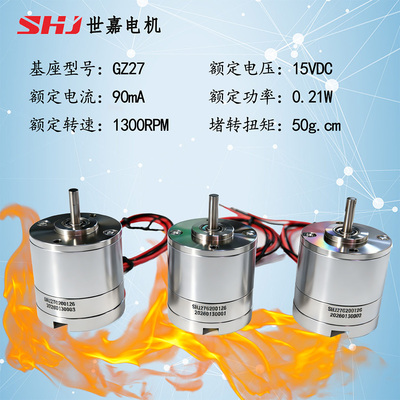 15VDC &nbsp;0.21W直流有刷高温电机