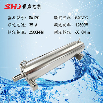 540VDC &nbsp;60N.m直流无刷深水电机