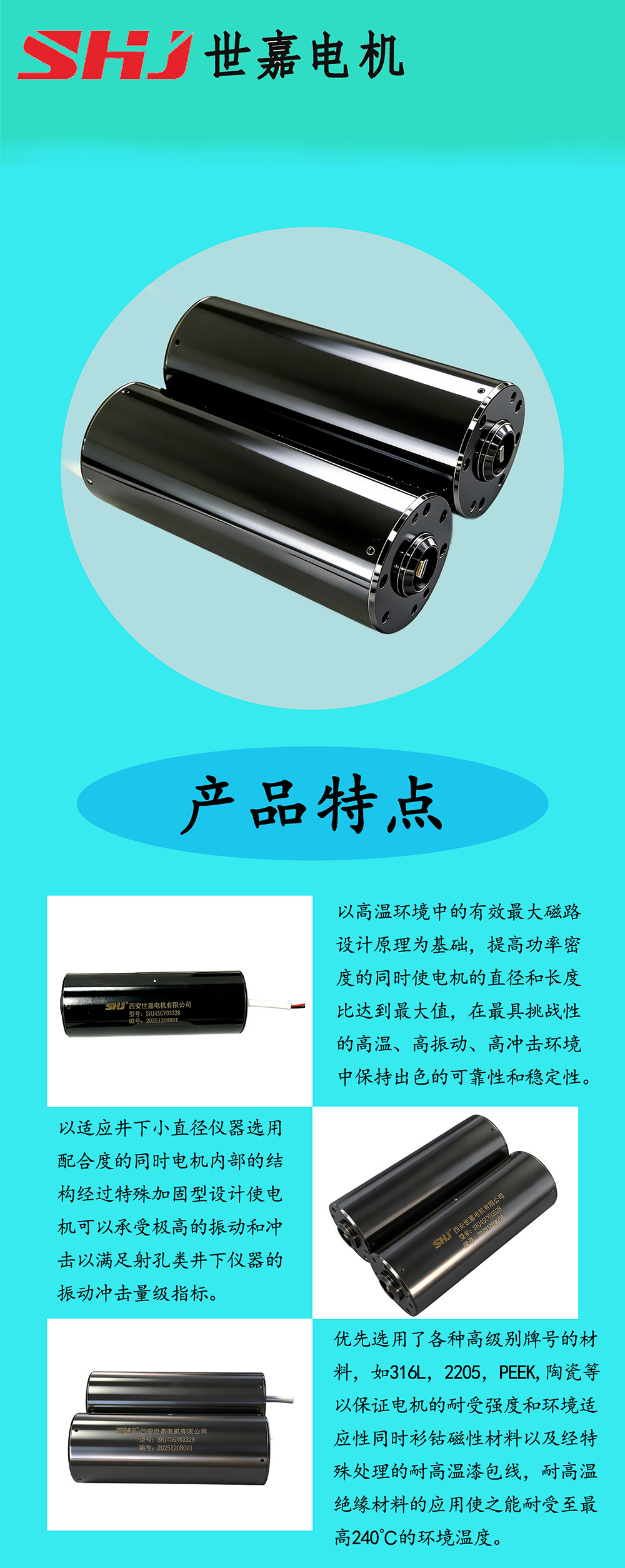 高温电机产品信息模板.jpg