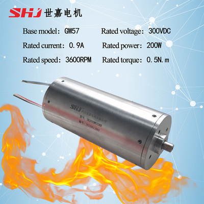 ​300VDC 200W DC Brushless High-Temperature Motor​