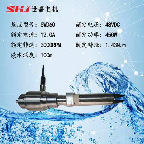 48VDC 450W 带离合器型深水减速电机