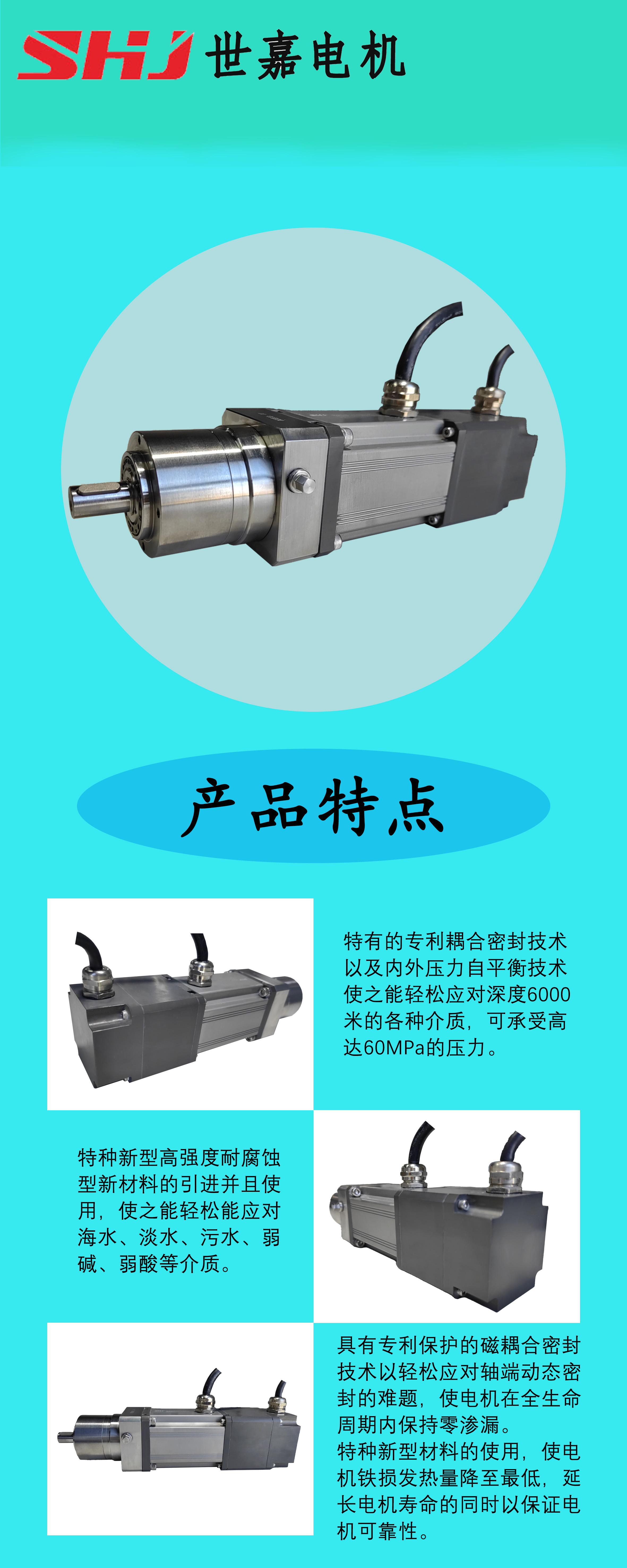 产品信息模板.jpg
