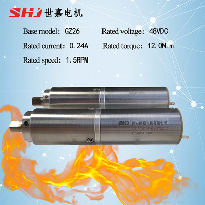 48VDC 12N.m Brushed DC High-Temperature Motor