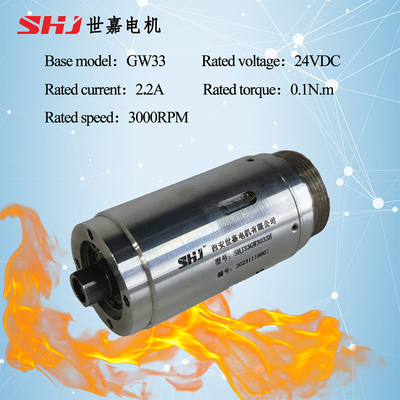 24VDC 30W  High-Temperature Brushless DC Motor