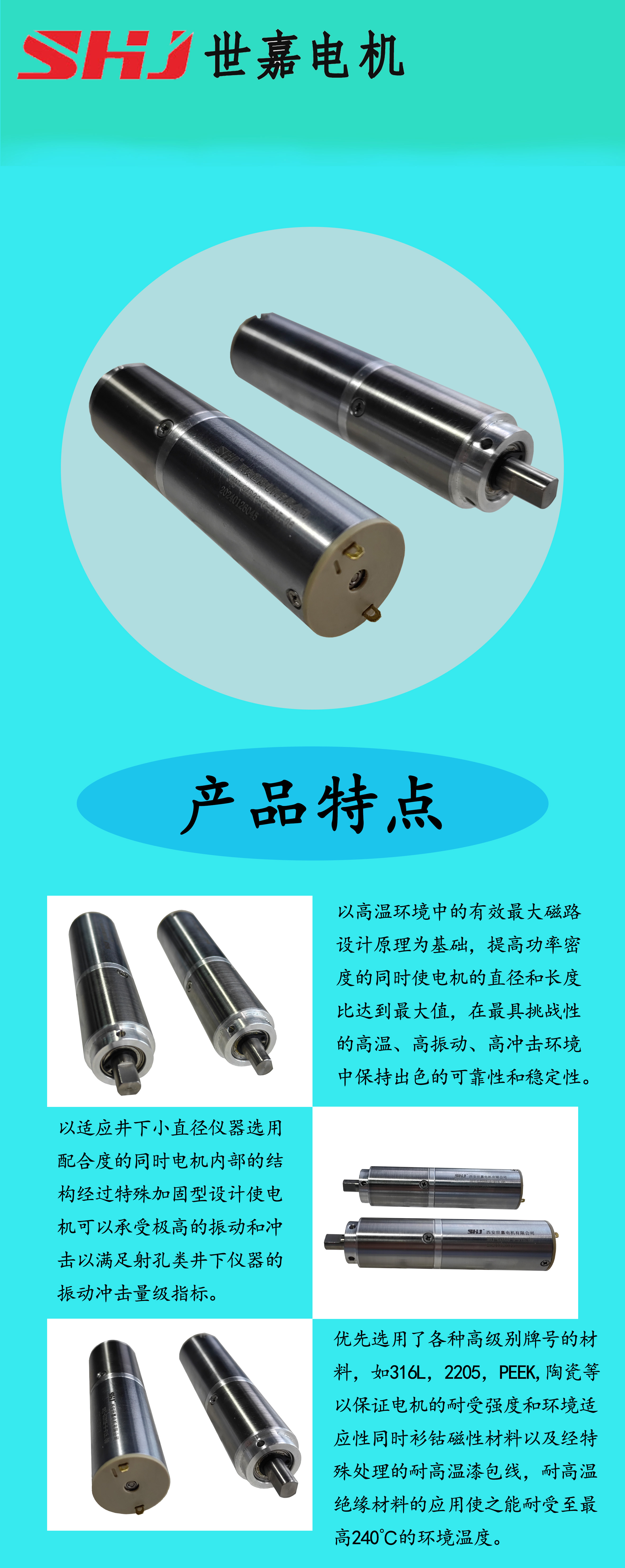 高温电机产品信息模板.jpg
