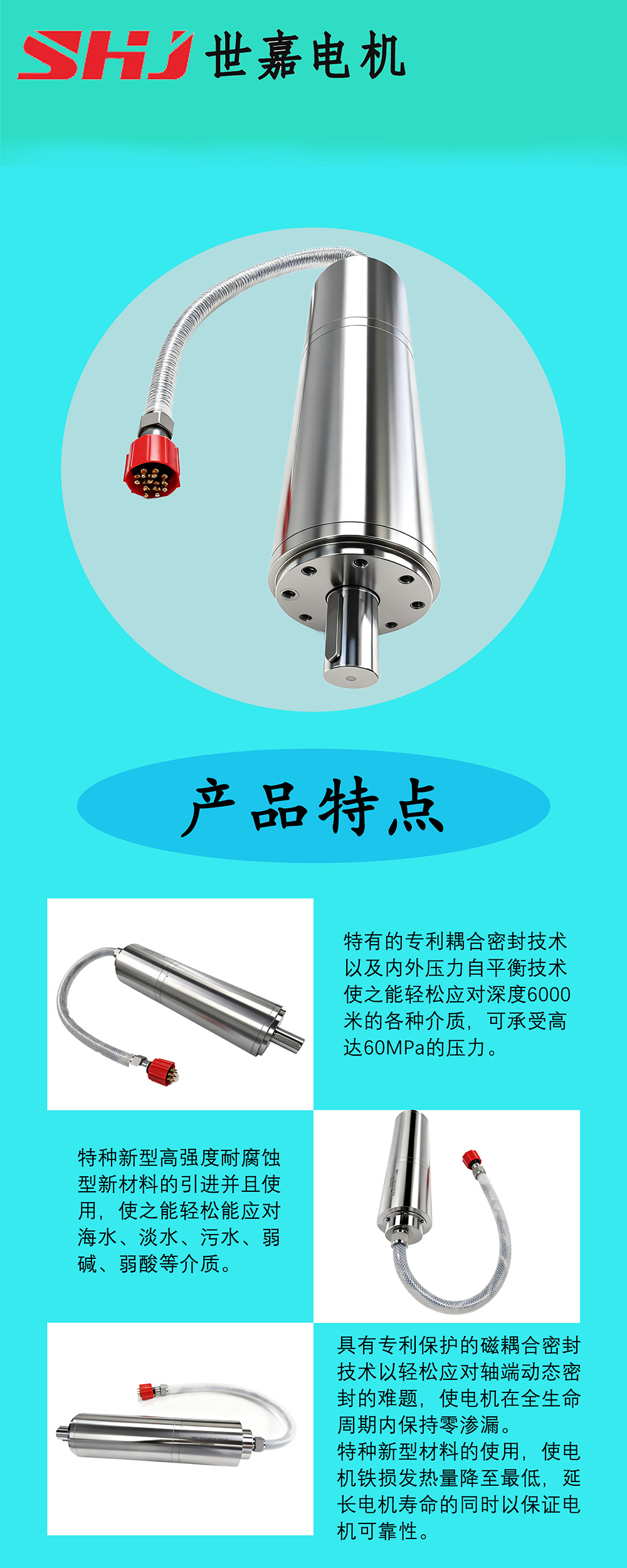 深水电机产品信息模板.jpg