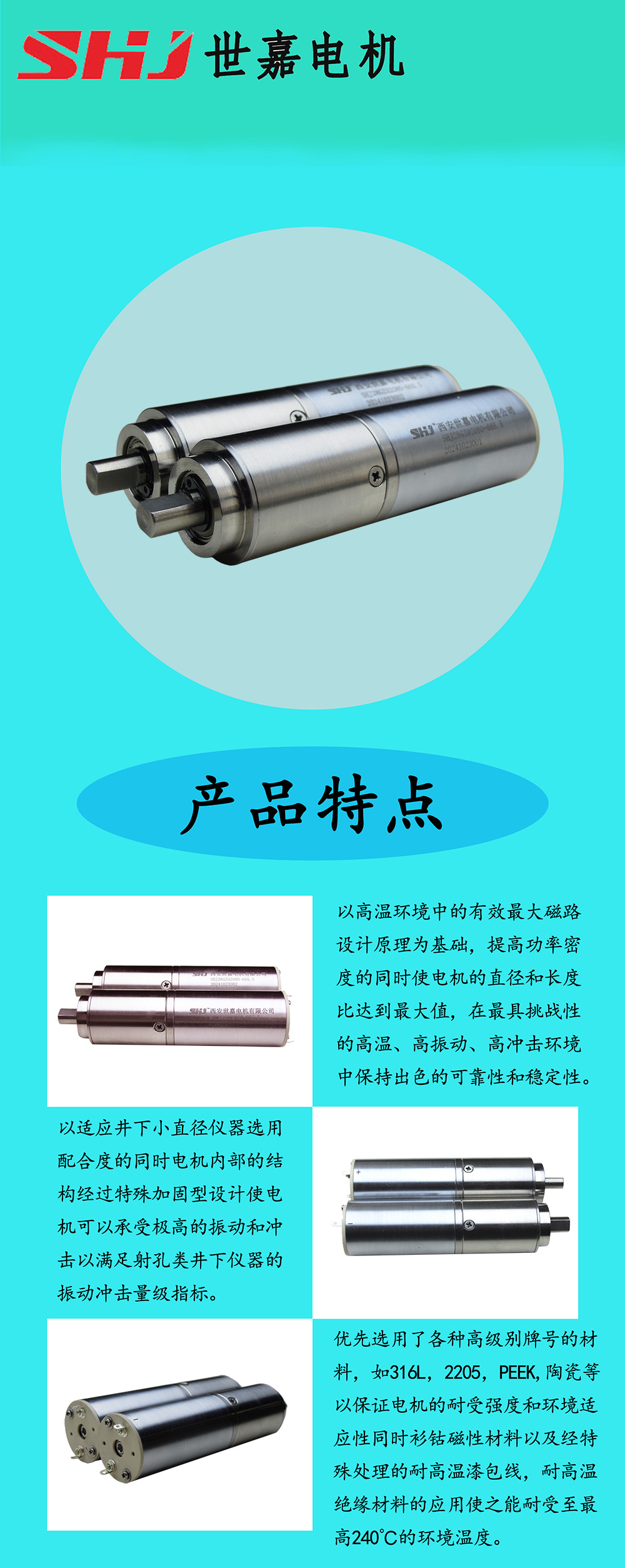 高温电机产品信息模板.jpg