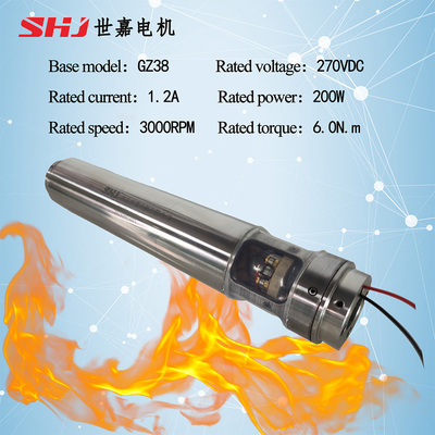 270VDC 200W DC Brushed High-Temperature Motor (with view window for brush and commutator inspection)
