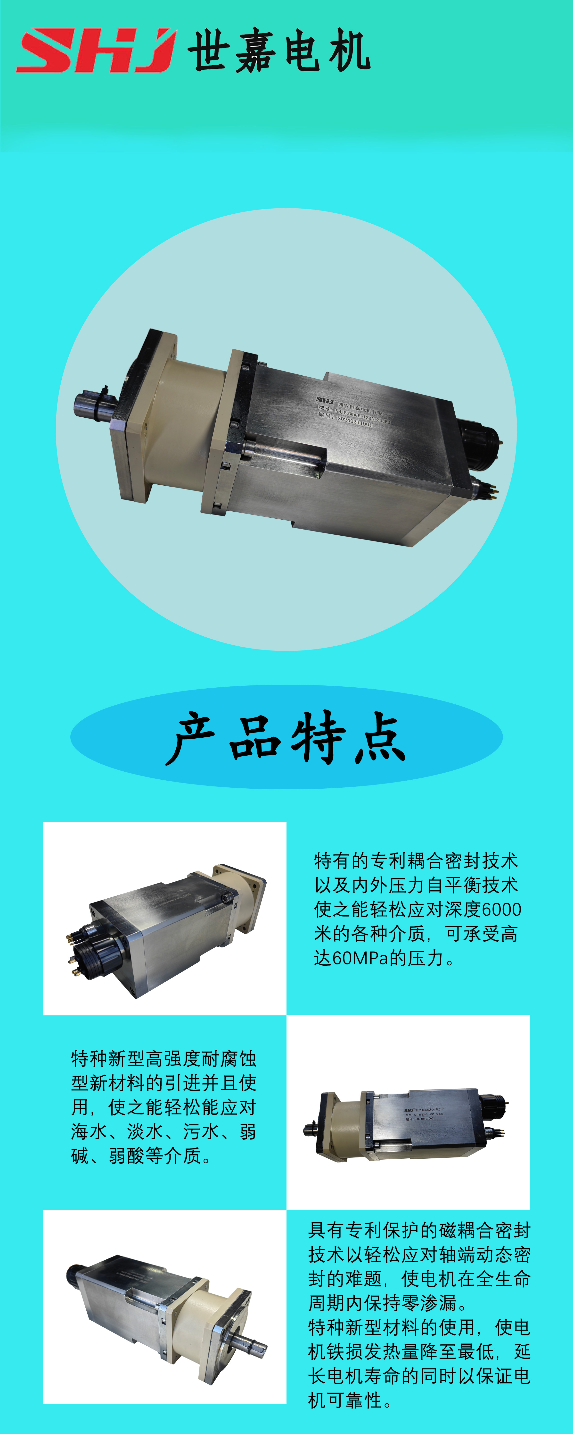 深水电机产品信息模板.jpg
